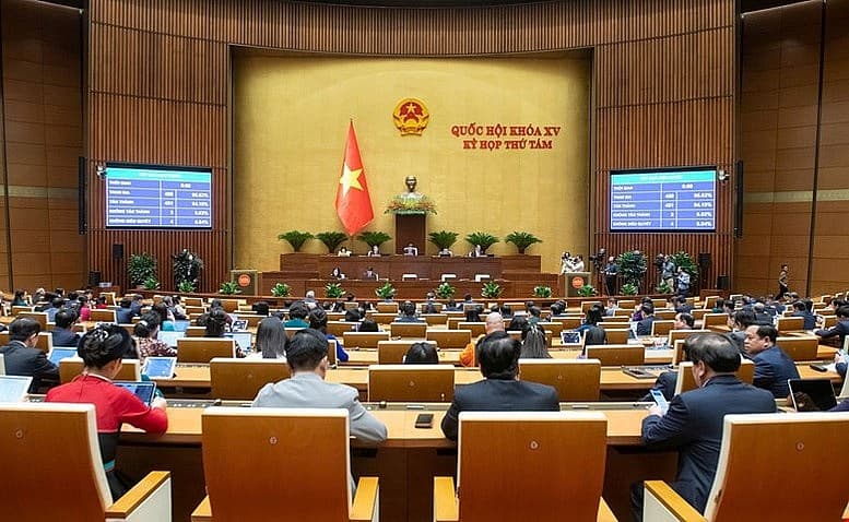 National Assembly adopts Law on Data