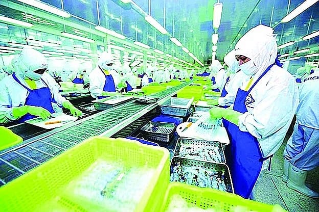 Seafood exports increase competitiveness through quality