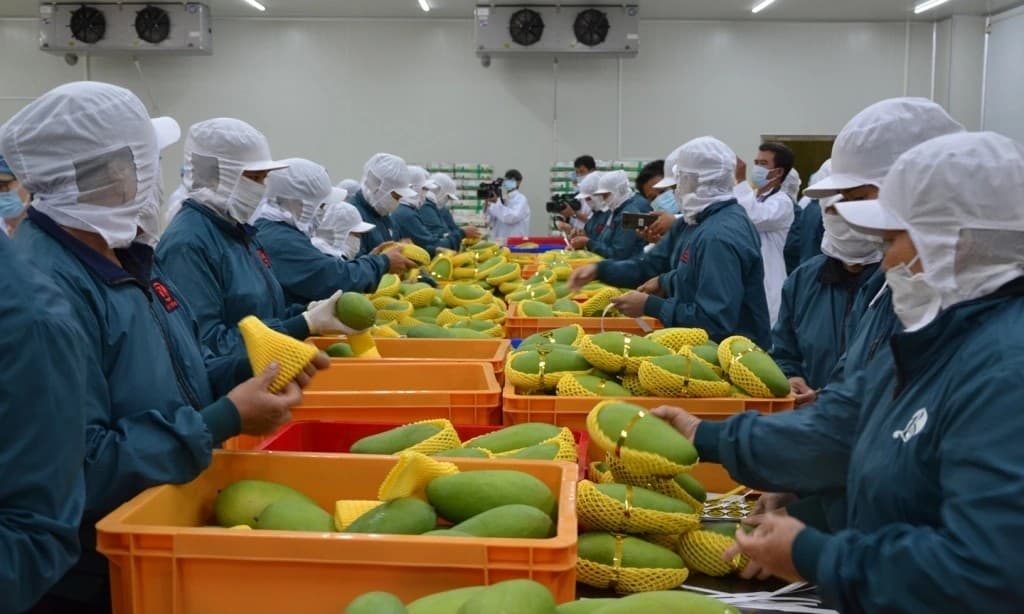 Vietnam-China trade turnover reaches nearly US$200 billion