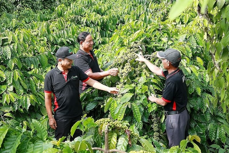 Necessary conditions for operating a "natural flavor" business