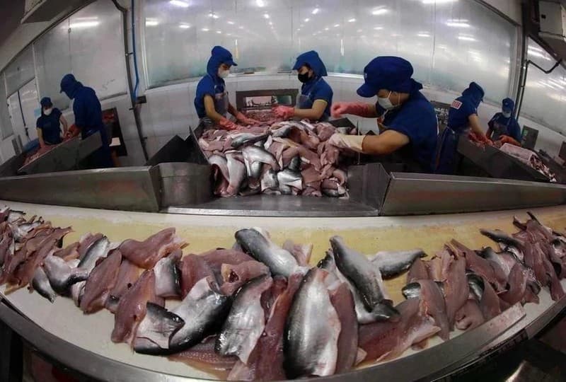 Vietnam back as ASEAN's growth star: HSBC
