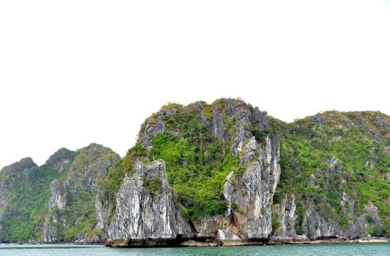 Ha Long city well positioned to develop green economy: experts