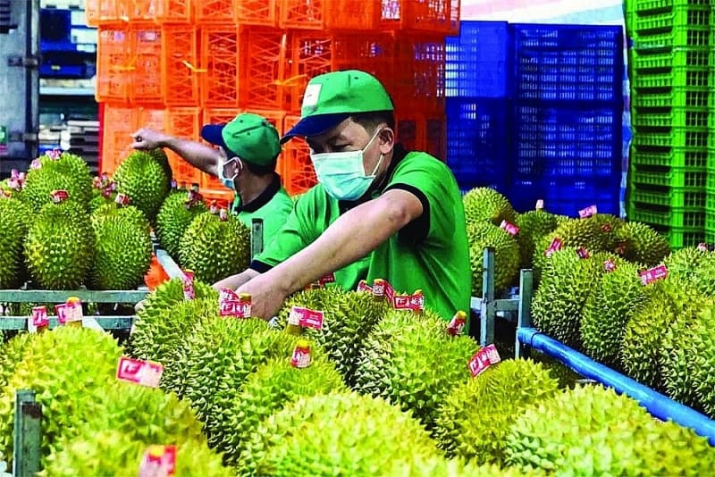 Paving the way for Vietnamese agricultural products in China