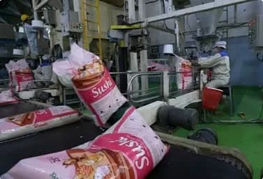 Rice export sets new record in 2024, but 2025 forecast to be difficult