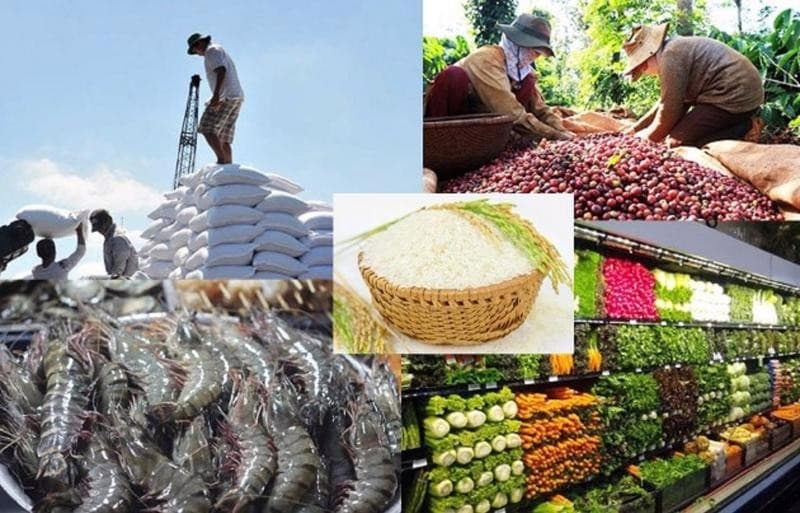 Vietnam’s 2024 import-export revenue reaches all-time high
