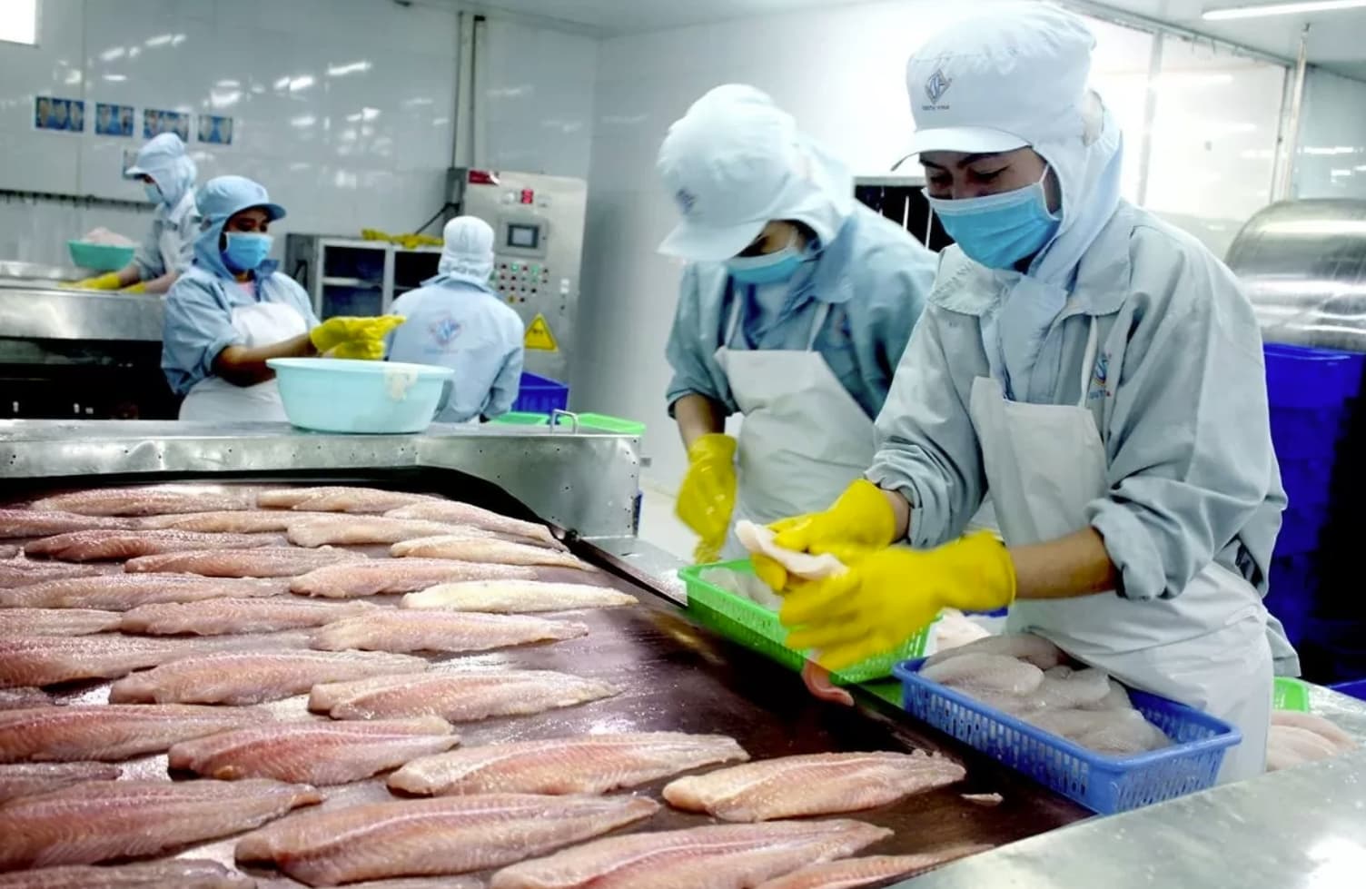 Wave of momentum to float Vietnam's seafood exports to 10–15% growth