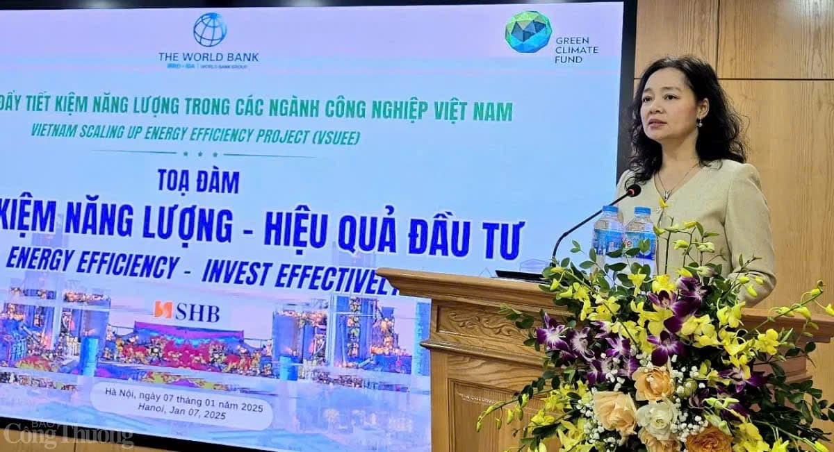 Mechanisms matter to promote energy efficiency in Vietnam's industrial sectors