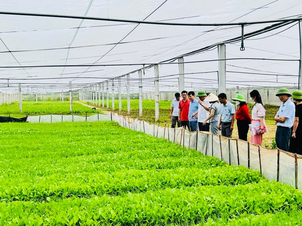Vietnam prioritizes agriculture and renewable energy for access to green loans