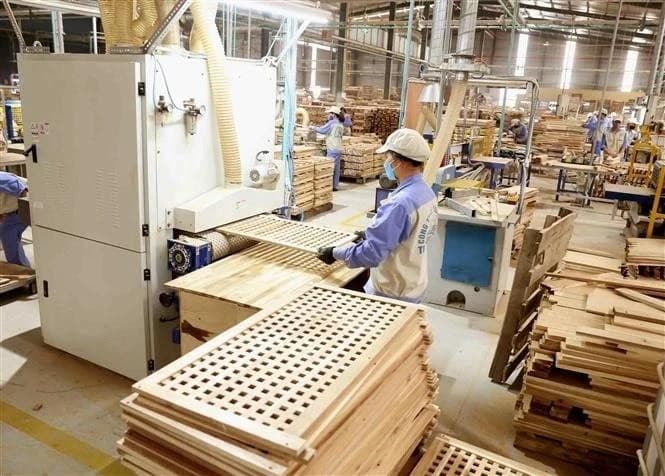 Vietnam, US navigate challenges, opportunities in trade