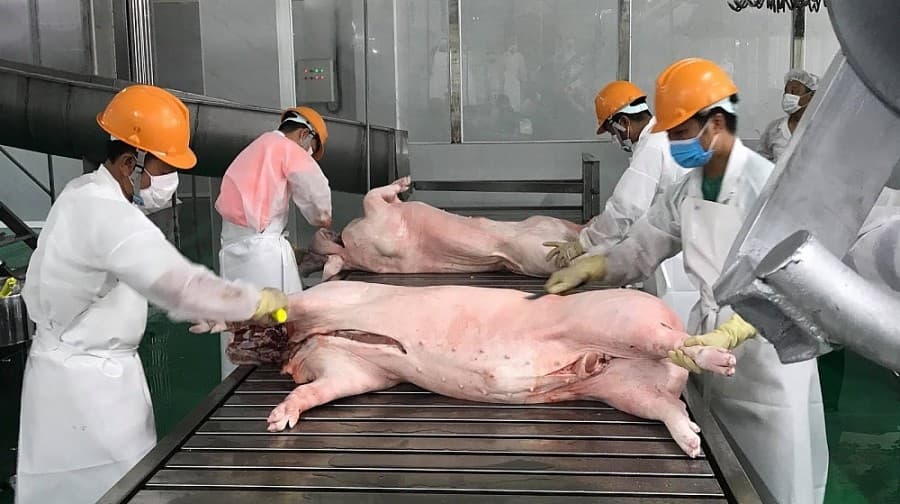Vietnam exports 20,900 tonnes of meat to 37 markets