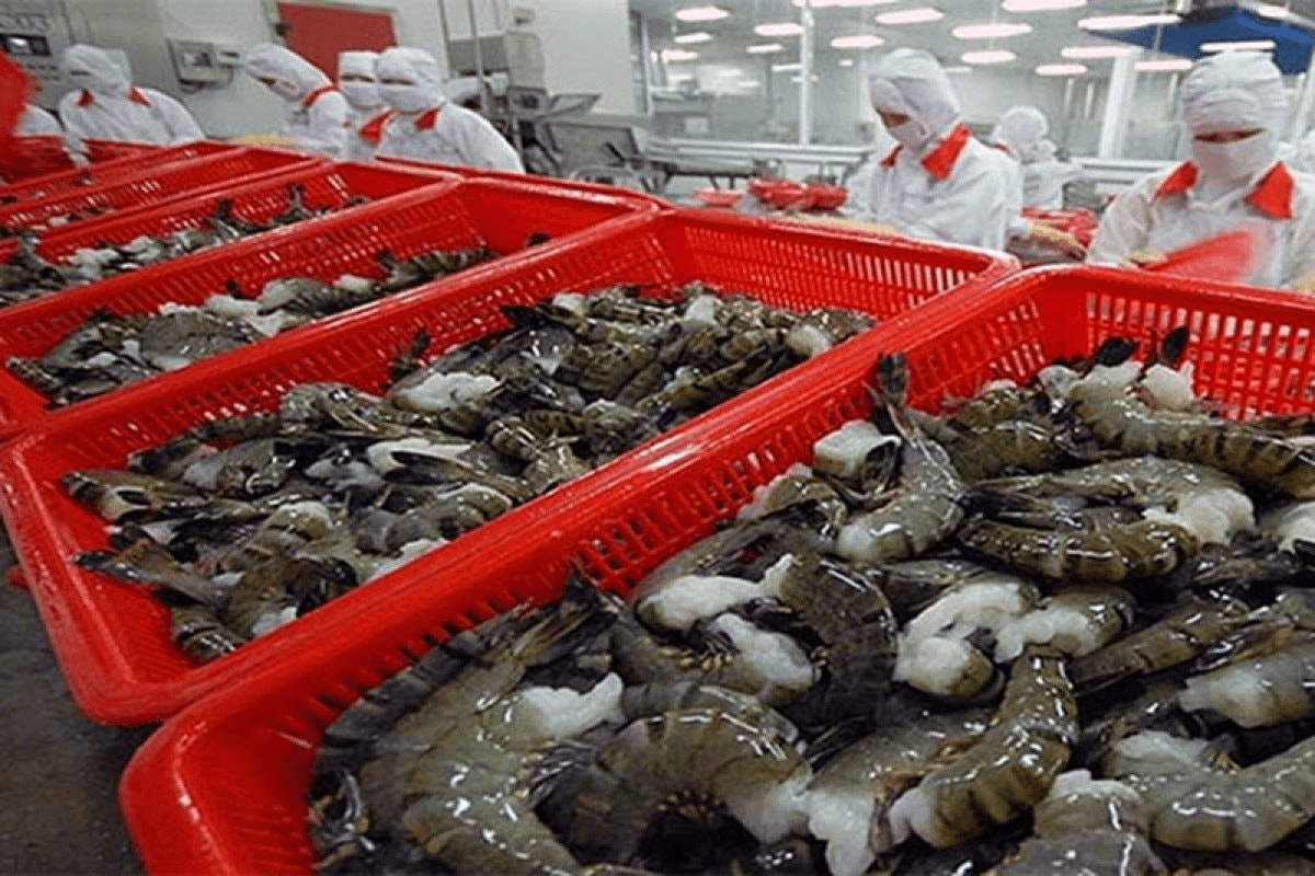 VASEP proposes removing quotas on warm-water shrimp exports to RoK