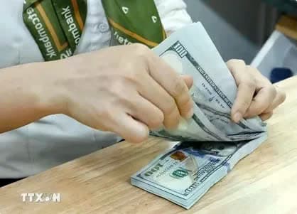 Reference exchange rate for the US dollar at 24,341 VND/USD on January 17, up 8 VND