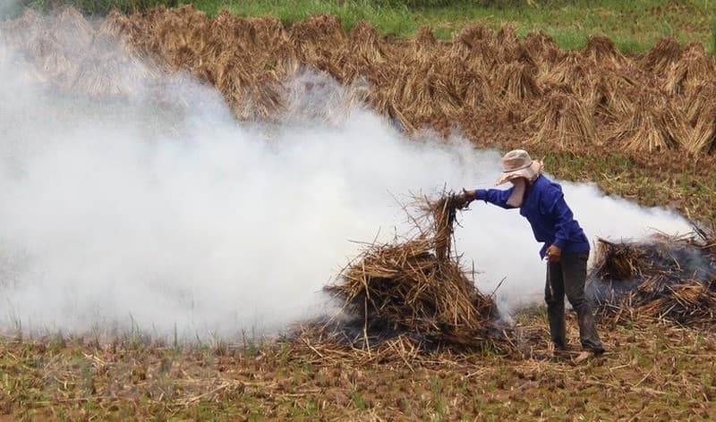 Using agricultural by-products effectively
