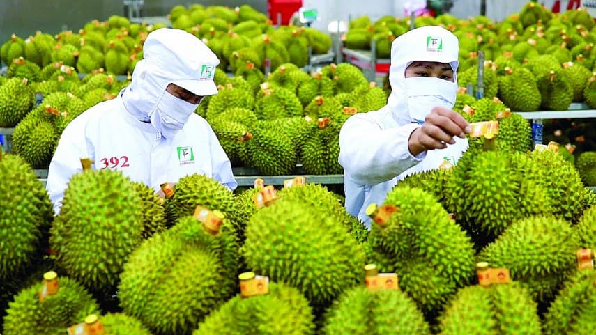 Agricultural exports to China make great strides