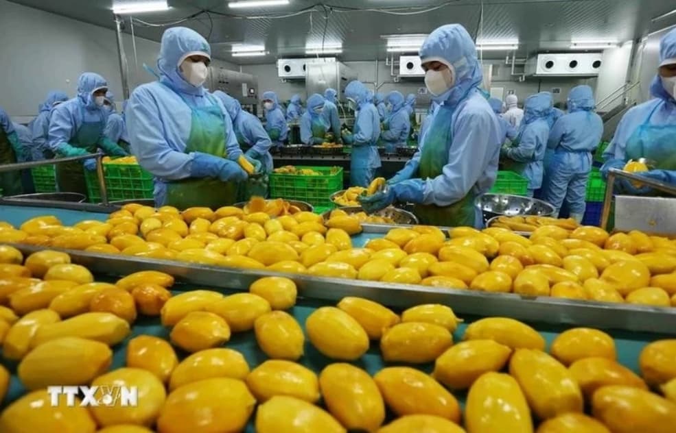 UNCTAD leader highlights Vietnam’s role in global trade