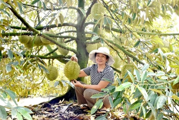 Brand building necessary for Vietnamese farm produce to increase competitiveness