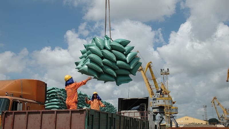 Vietnam’s rice exports to Singapore post strong growth