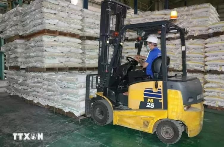 Vietnam’s rice exports to Singapore record significant growth