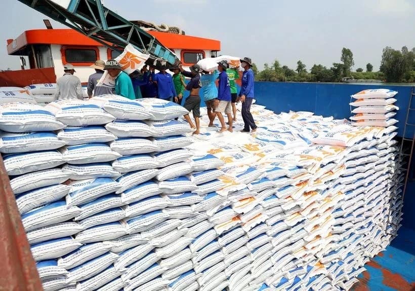 Vietnam's rice export predicted to face challenges in 2025