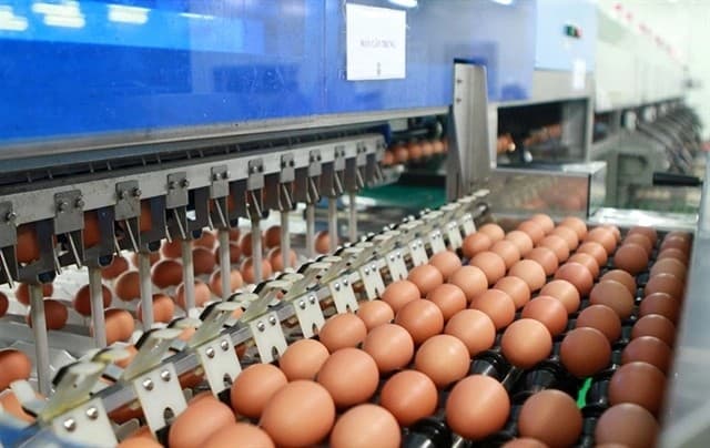 Vietnam sets import tariff quotas for salt and poultry eggs in 2025