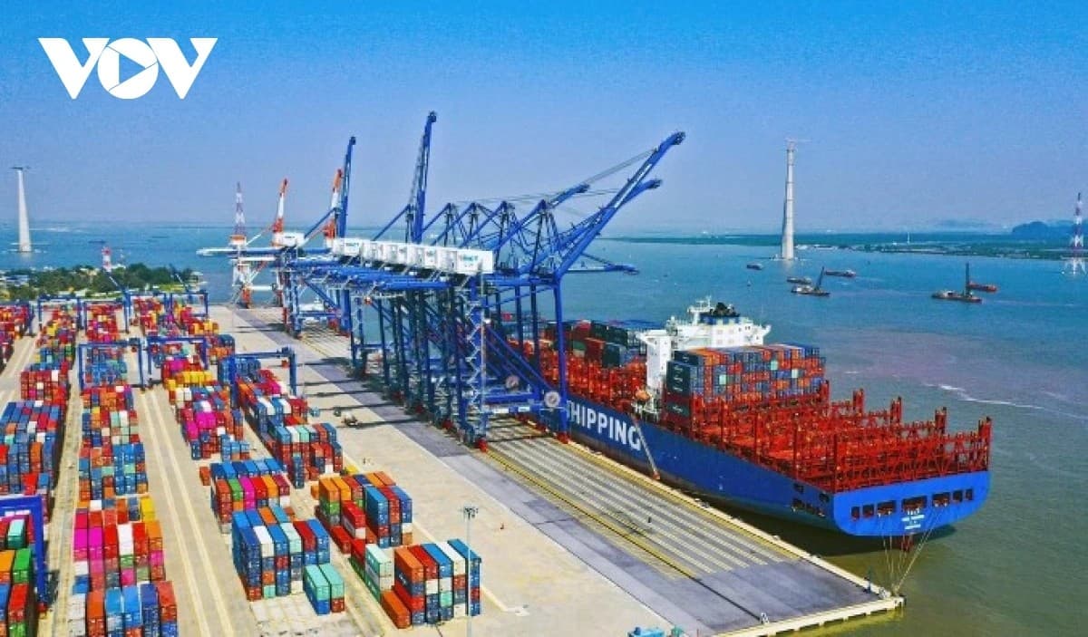 Bustling export-import activities signal a boon year ahead