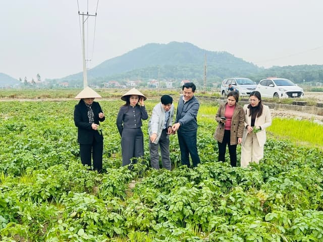 Diverse and effective agricultural extension models developed in Hanoi