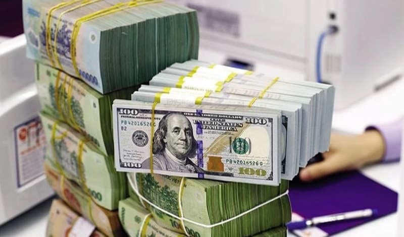 Outlook for USD/VND exchange rate in 2025