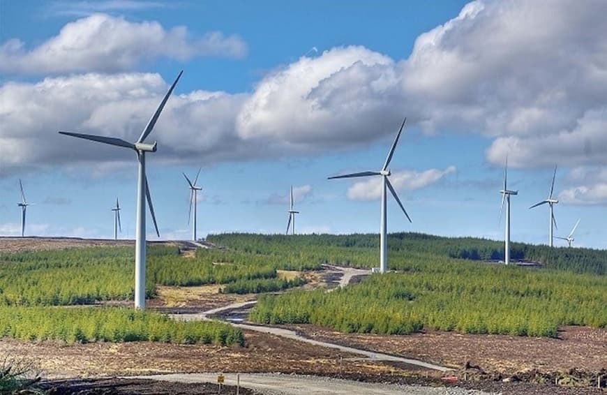 Opportunities for businesses in the carbon credit market