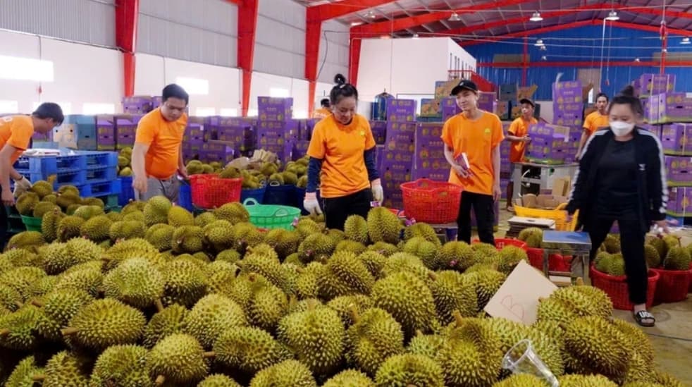 Closely following developments and demand of agricultural products