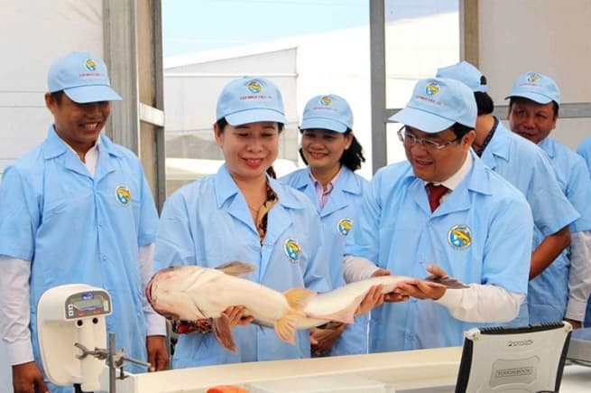 2025 – Promising Horizons for Vietnam’s Pangasius Industry
