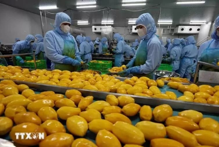 Lam Dong province’s agricultural product exports reach 40 million USD