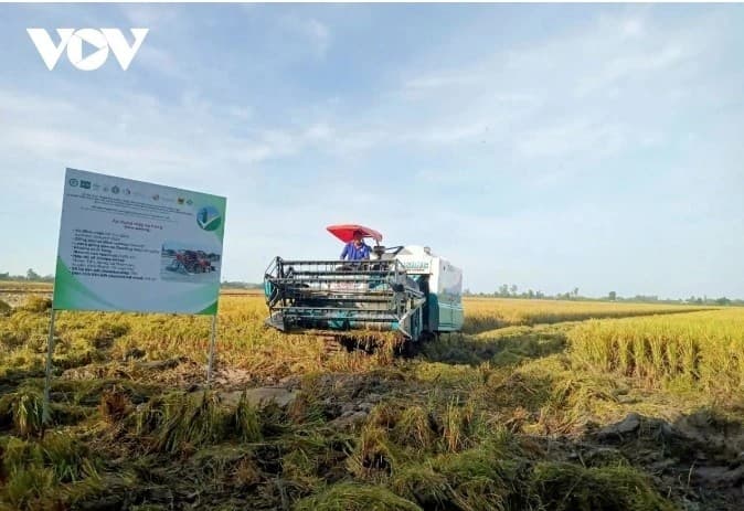 Japan's role in driving digital and green transformation in Mekong Delta