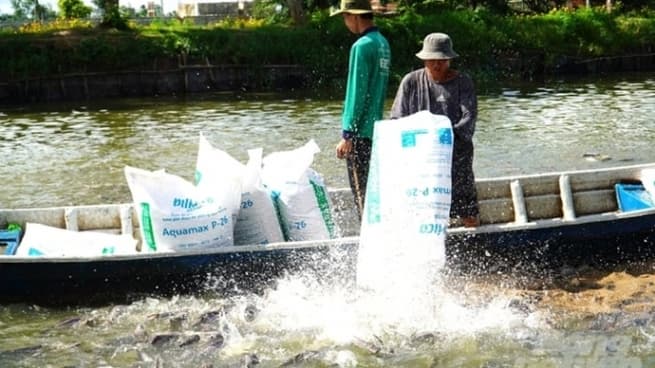 Vinh Long Province: Industrial Pangasius Production in 2024 Decreases by 4%