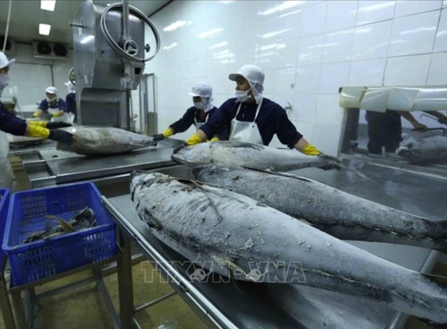 Vietnam’s aquatic exports poised to hit 11 billion USD landmark