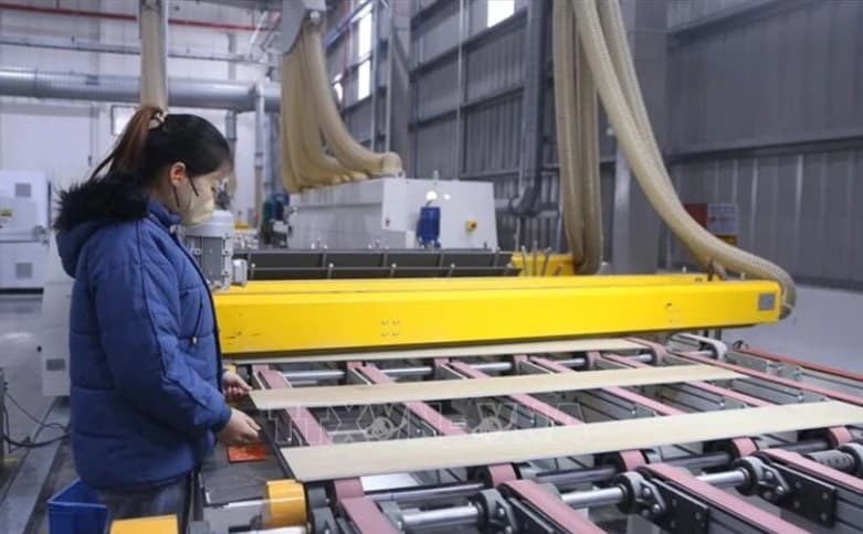 Hai Phong: A second home for foreign investors