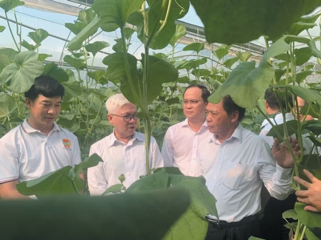 Agriculture Advancing Agriculture with Hi-Tech Solutions and Organic Practices