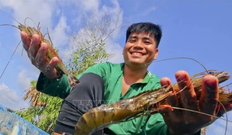 Shrimp industry advised to take actions to maintain growth momentum