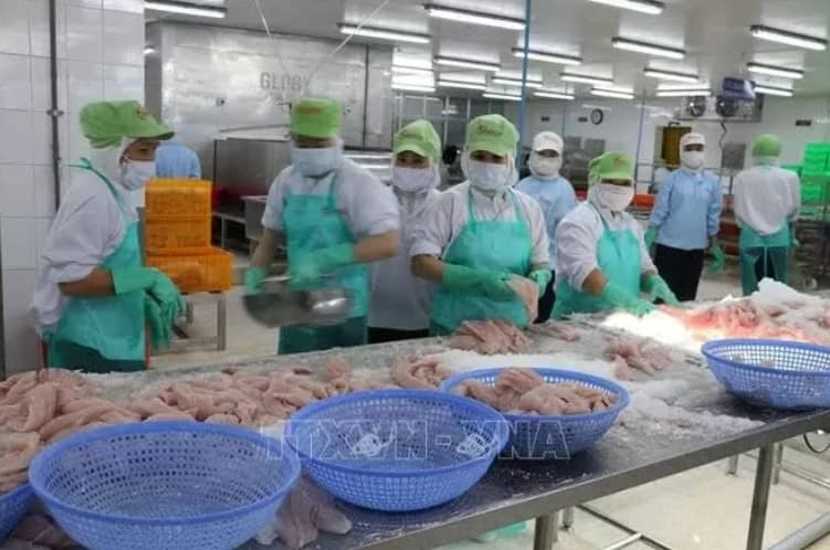 Manufacturing, processing continue to drive industrial growth: National Statistics Office