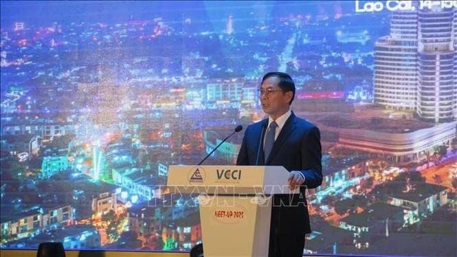 Lao Cai aims to become trade hub bridging Vietnam, ASEAN with southwest China
