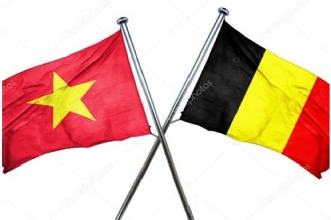 VCCI to Host Vietnam-Belgium Dialogue on Sustainable Development and Innovation