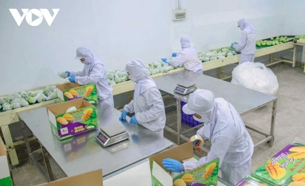 Agriculture sector urged to tackle challenges to meet 4% growth target