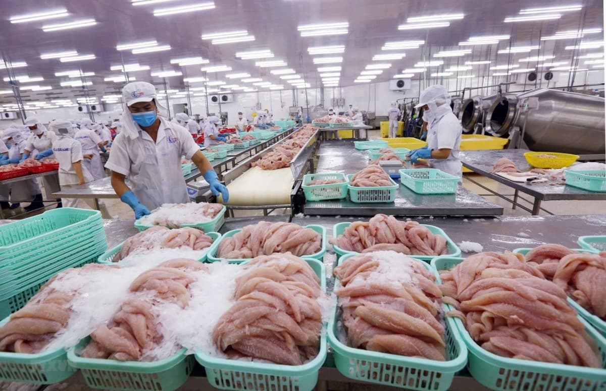 New-generation FTAs to create seafood export breakthrough