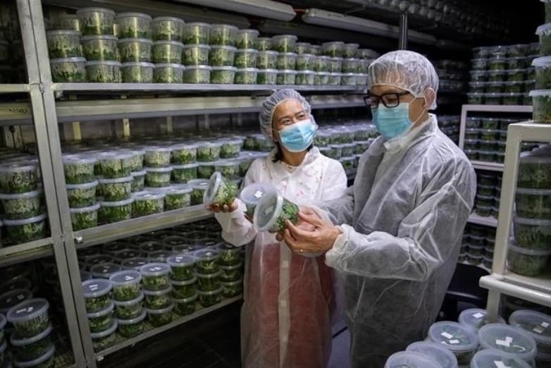 Israel’s agritech expected to help Vietnam increase agricultural productivity, quality