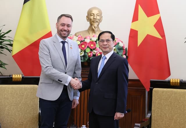 Viet Nam urges Belgium to soon ratify EVIPA