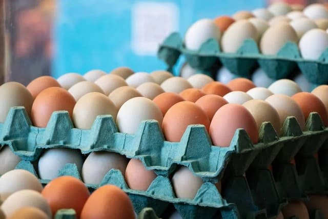 Singapore opens market for Vietnamese poultry products