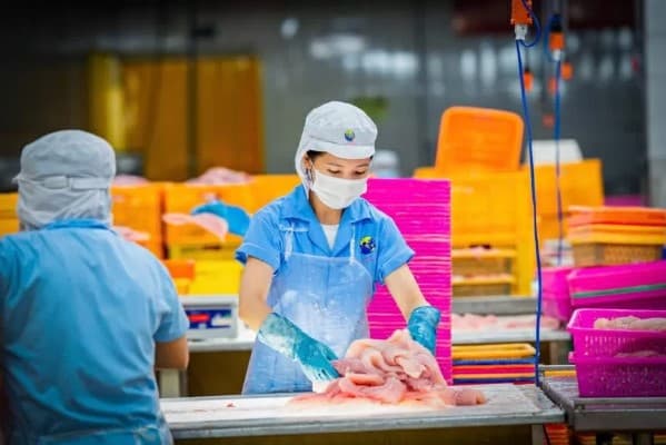 UOB Vietnam backs NAVICO in green finance push for sustainable aquaculture