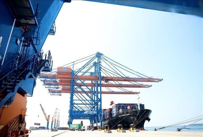 Flexible solutions needed to adapt to US new tariff policy: Official