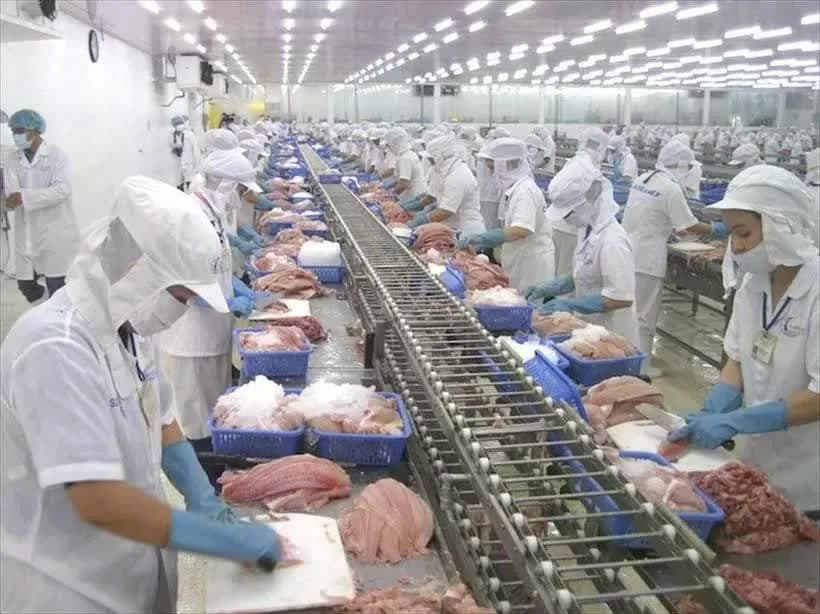 Vietnam takes strategic action to protect seafood exports amid US tariff