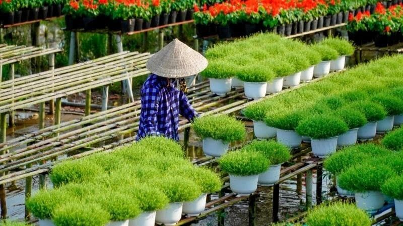 Rural tourism linked to new-style rural development to increase local incomes