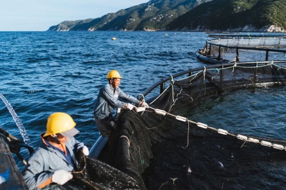 Vietnam’s fisheries sector innovates production, seizes opportunities from new export markets